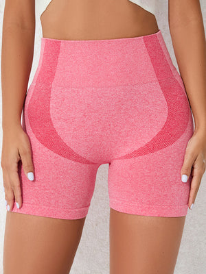 High Waist Active Shorts - All Mine Now Clothing