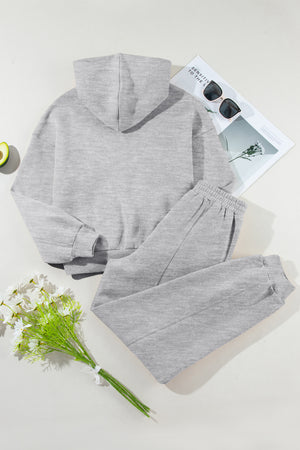 Dropped Shoulder Long Sleeve Hoodie and Pants Active Set - All Mine Now Clothing