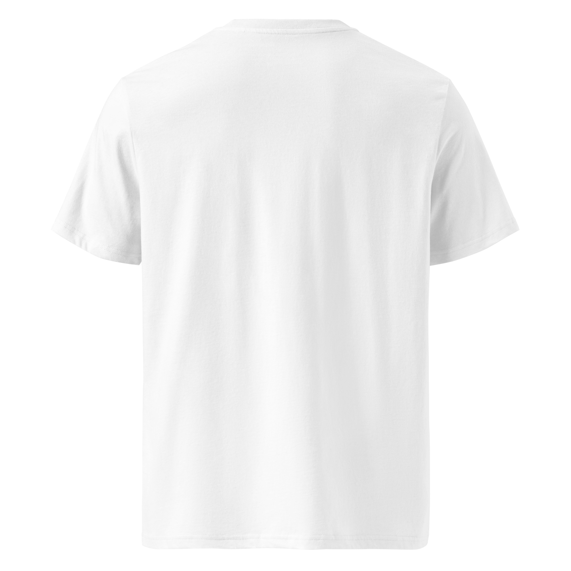 Back view of a men's eco-friendly high quality cotton t-shirt, ideal in style for men's graphic tees no limits.